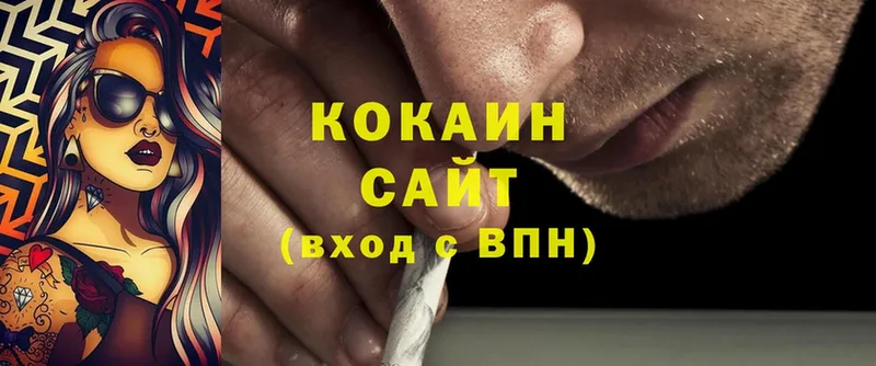 площадка наркотические препараты  Анива  Cocaine 98% 